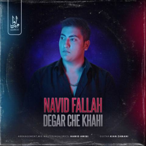 نوید فلاح – دگر چه خواهی